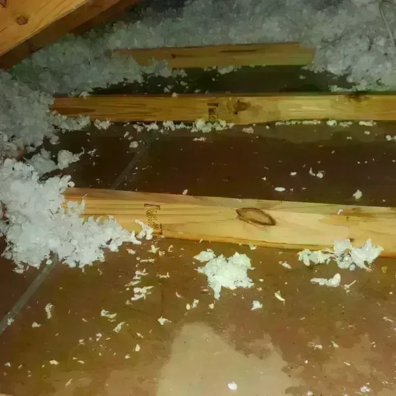 Attic Water Damage in Stanislaus County, CA