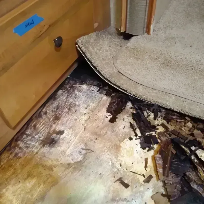 Best Wood Floor Water Damage Service in Stanislaus County, CA